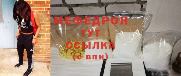 стаф Аркадак