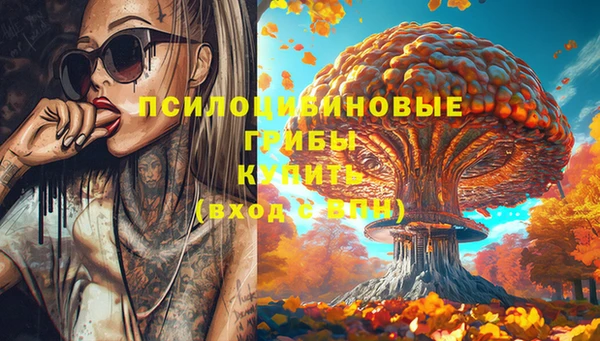 стаф Аркадак