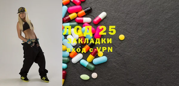 стаф Аркадак